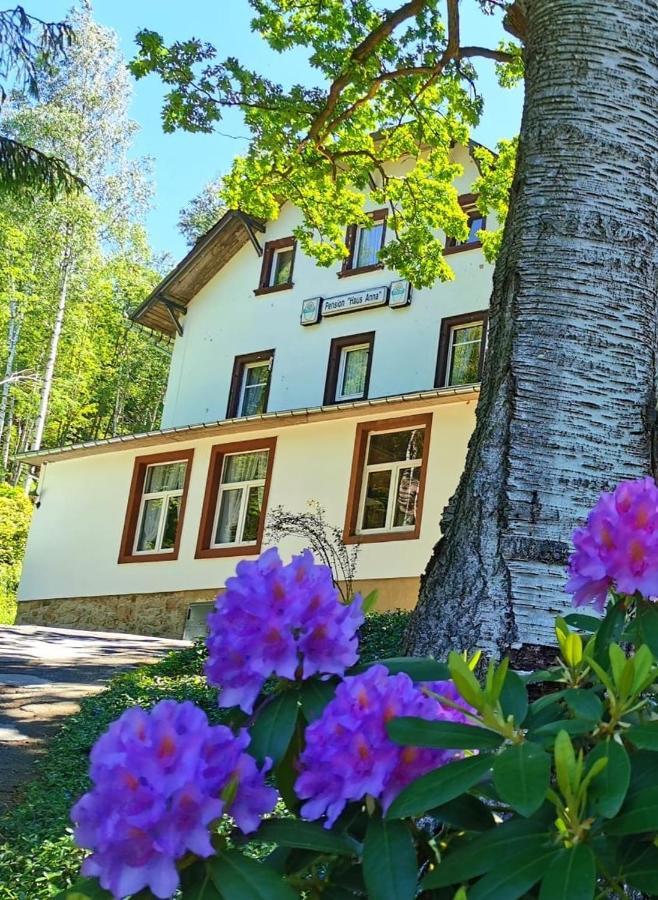 Pension Haus Anna Altenberg Eksteriør bilde